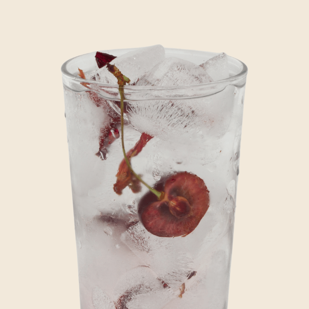 Hibiscus Cherry