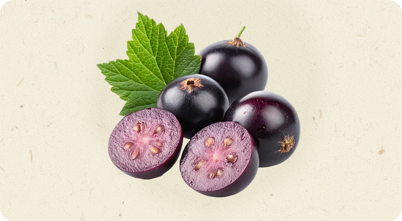 Blackcurrant Juice