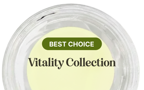 Bello Collection Vitalité