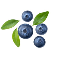 Blueberry